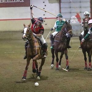 Meet your Posher, Susanna